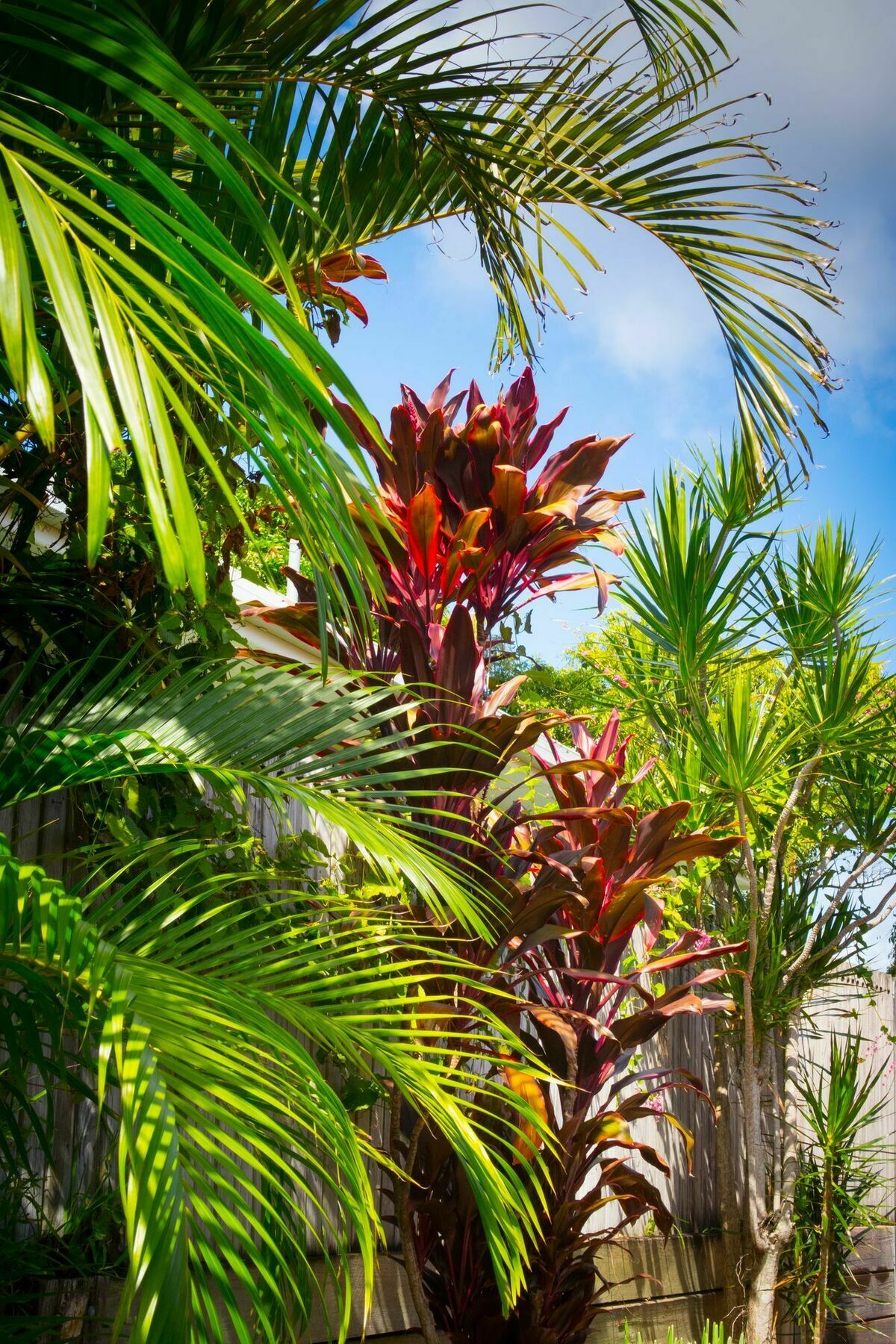 Ruskin House Byron Bay Esterno foto